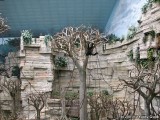 The South American primate exhibit.
