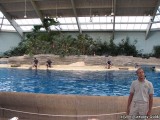 The Seven Seas Dolphinarium.