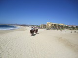 Horseback Riding on the Beach Horseback Riding on the Beach