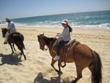 Horseback Riding on the Beach Horseback Riding on the Beach