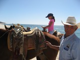 Horseback Riding on the Beach Horseback Riding on the Beach
