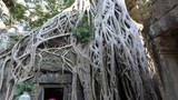 Bike tour of Angkor Wat Bike tour of Angkor Wat