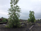 Packard Automobile Plant Packard Automobile Plant