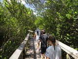 Everglades National Park - Shark Valley Everglades National Park - Shark Valley