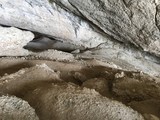 Mylodon Caves Mylodon Caves