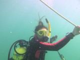 Giselle's checkout dives Giselle's checkout dives