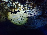 Scuba Diving - Day 3 Scuba Diving - Day 3