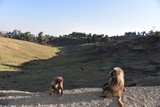 Simien Mountains, Ethiopia Simien Mountains, Ethiopia