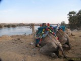 Nubian Museum Nubian Museum