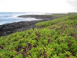Around the Big Island Around the Big Island
