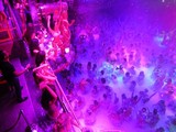 Amnesia Nightclub Amnesia Nightclub