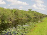 Everglades National Park - Shark Valley Everglades National Park - Shark Valley