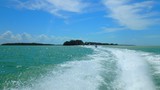 Capt. Ron's Awesome Everglades Adventure Capt. Ron's Awesome Everglades Adventure